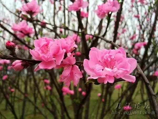 1506754047133708.jpg c89cdc2b43fc1a3b24670e.jpg